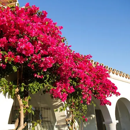 3 Bedroom With Private Pool In El Paraiso Villa *